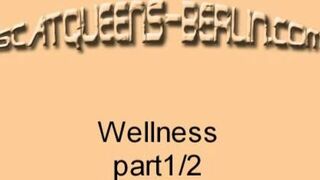 wellness_part1